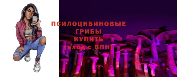 ALPHA-PVP Белокуриха