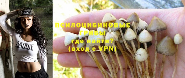 ALPHA-PVP Белокуриха