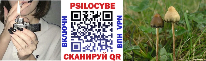 Псилоцибиновые грибы Psilocybine cubensis  купить закладку  Верещагино 