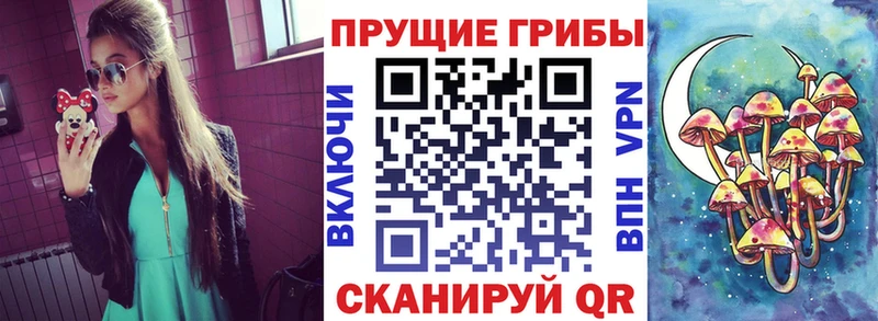 Галлюциногенные грибы MAGIC MUSHROOMS Верещагино